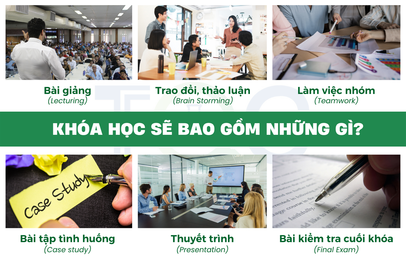 Khóa học đào tạo VietGAP chăn nuôi
