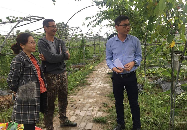 dich-vu-tu-van-chung-nhan-organic