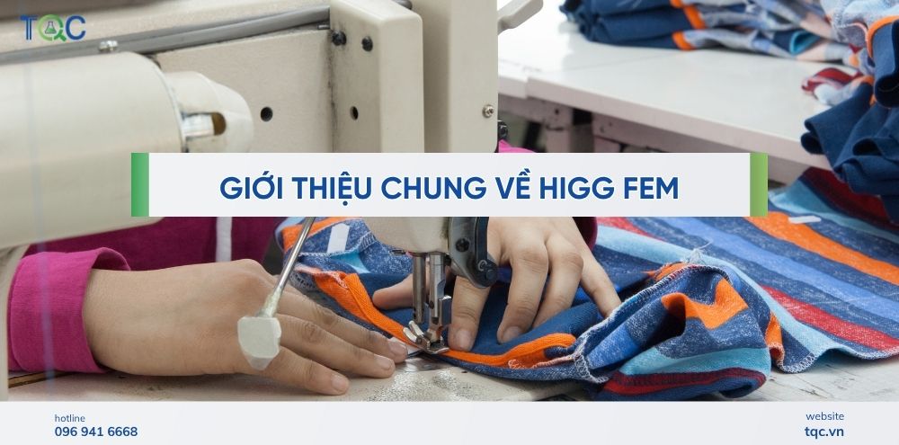 gioi thieu chung higg fem